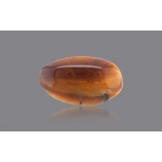  Natural Tiger Eye 3.49 Carat/ 3.83 Ratti